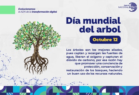 Imagen de un árbol con raíces