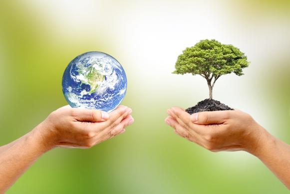 Imagen de unas manos sosteniendo el planeta tierra y otras un árbol.